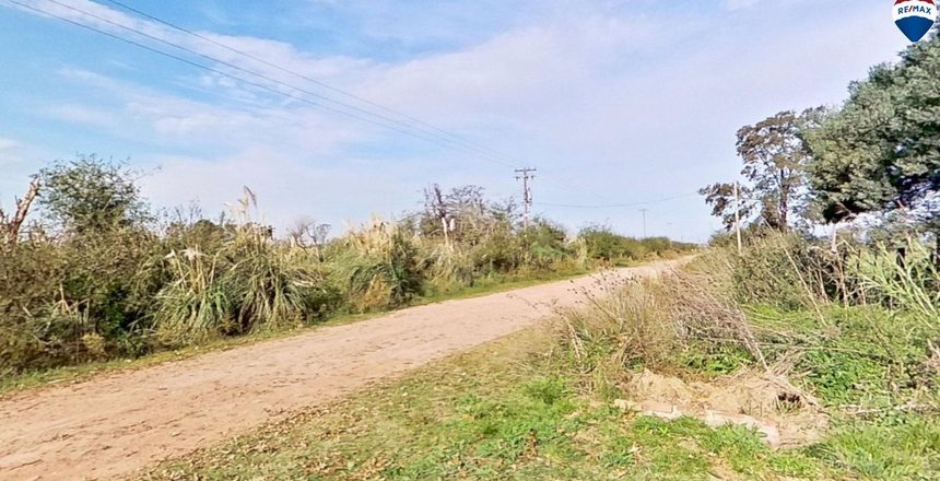 campo1