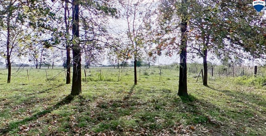 campo2