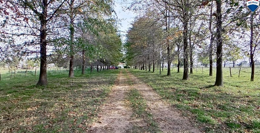 campo3