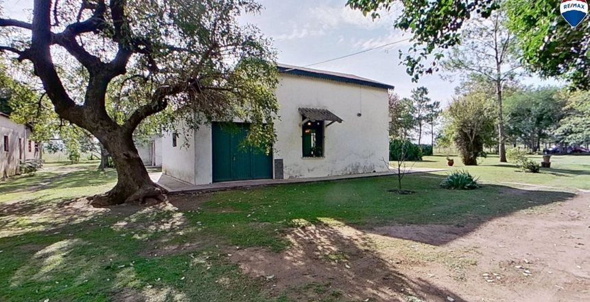 campo4
