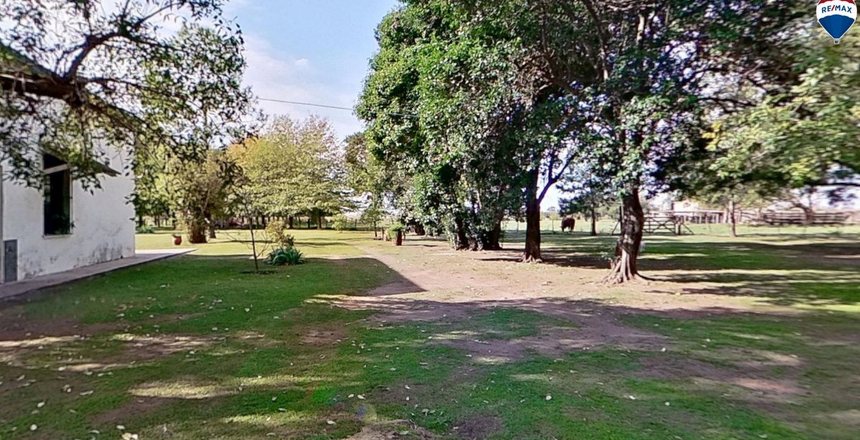 campo5