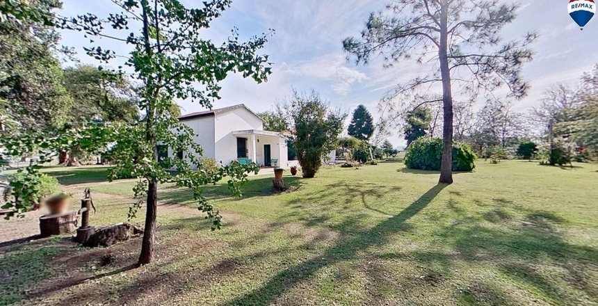 campo6