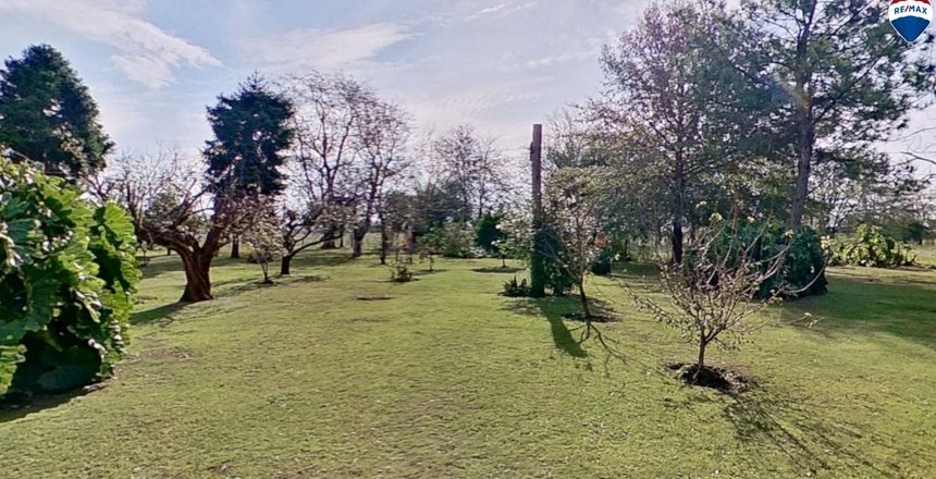 campo8