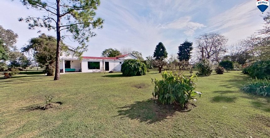 campo9
